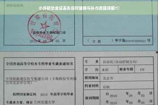 小升初毕业证丢失应对策略与补办流程详解?✨