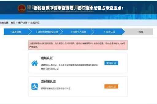 揭秘低保申请审查流程，银行流水是否成审查重点？