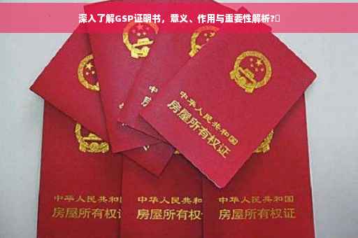 深入了解GSP证明书，意义、作用与重要性解析?✨