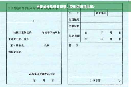 自我成长见证与记录，受训证明书揭秘?