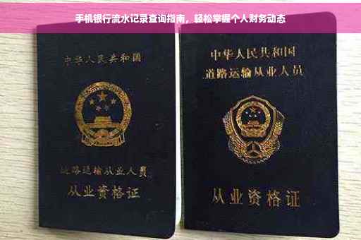 手机银行流水记录查询指南，轻松掌握个人财务动态