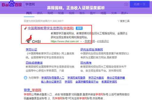 真相揭晓，正当收入证明深度解析