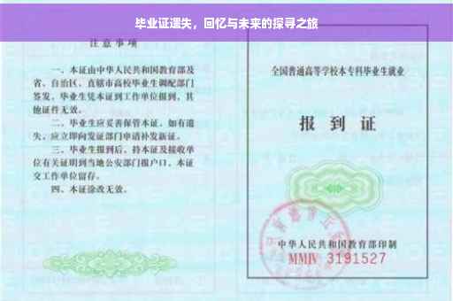 毕业证遗失，回忆与未来的探寻之旅