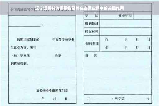 辽宁证明书的重要性及其在实际应用中的关键作用