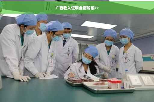 广西收入证明全面解读??
