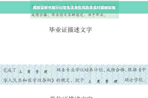 危险证明书揭示日常生活潜在风险及应对策略指南