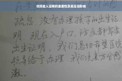 优抚收入证明的重要性及其深远影响