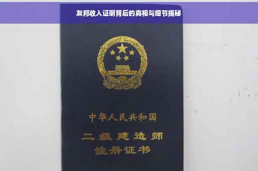 友邦收入证明背后的真相与细节揭秘