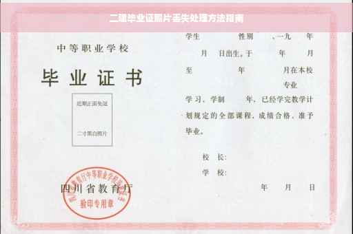 二建毕业证照片丢失处理方法指南