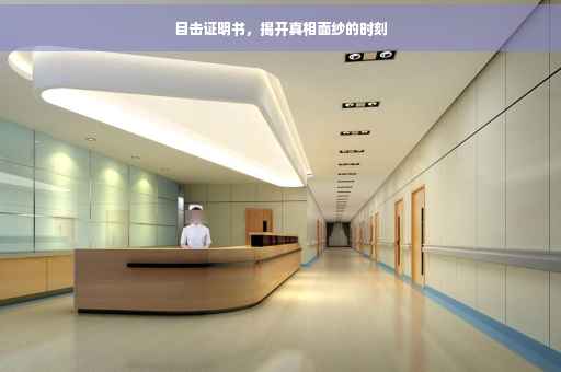 目击证明书，揭开真相面纱的时刻