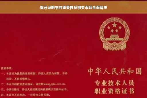 镶牙证明书的重要性及相关事项全面解析