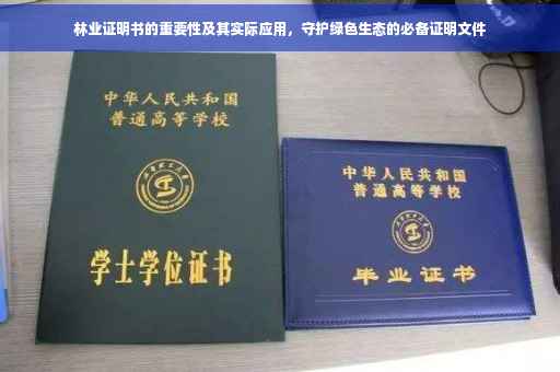 林业证明书的重要性及其实际应用，守护绿色生态的必备证明文件