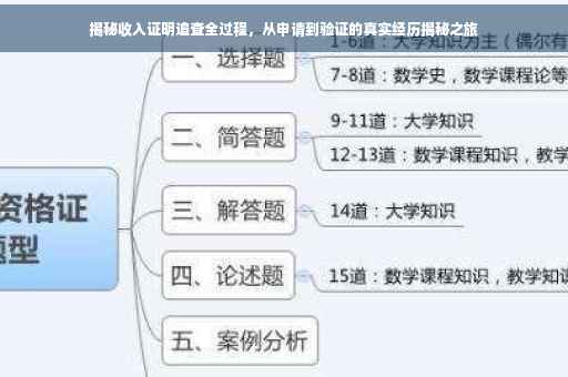 揭秘收入证明追查全过程，从申请到验证的真实经历揭秘之旅