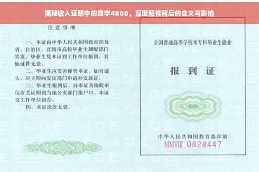 揭秘收入证明中的数字4800，深度解读背后的含义与影响