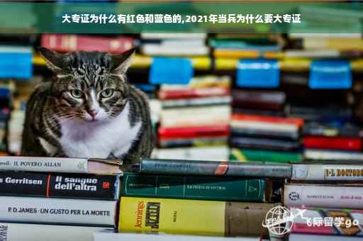 大专证为什么有红色和蓝色的,2021年当兵为什么要大专证