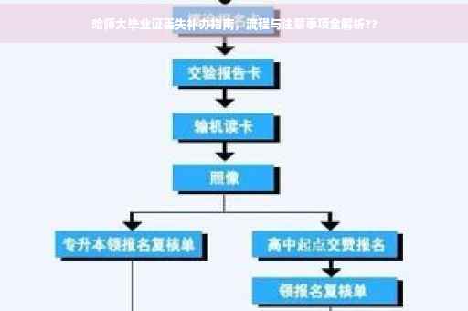 哈师大毕业证丢失补办指南，流程与注意事项全解析??