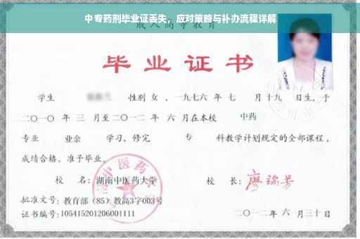 中专药剂毕业证丢失，应对策略与补办流程详解