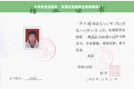 大学毕业证丢失，失落还是重新出发的契机？