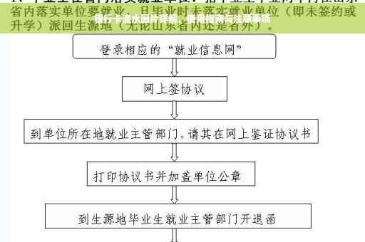银行卡流水图片详解，使用指南与注意事项