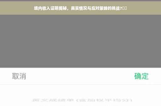 境内收入证明揭秘，真实情况与应对策略的挑战?⚡️