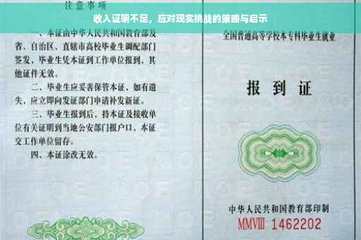 收入证明不足，应对现实挑战的策略与启示