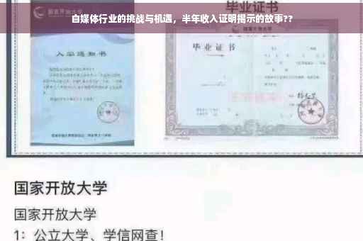 自媒体行业的挑战与机遇，半年收入证明揭示的故事??