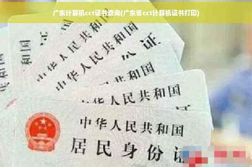 广东计算机cct证书查询(广东省cct计算机证书打印)