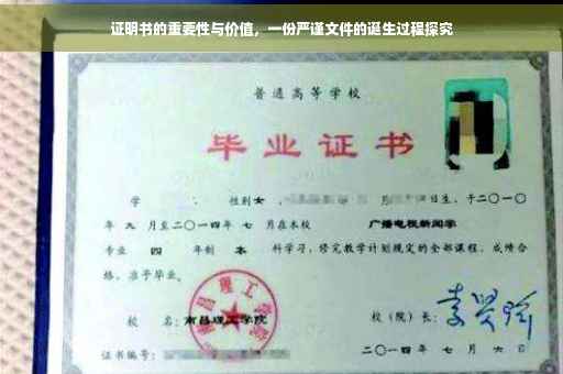 证明书的重要性与价值，一份严谨文件的诞生过程探究