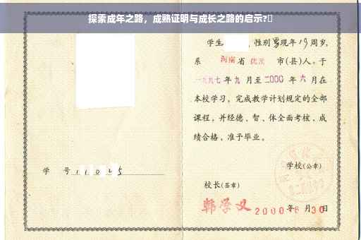 探索成年之路，成熟证明与成长之路的启示?✨