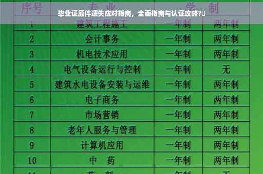 毕业证原件遗失应对指南，全面指南与认证攻略?✨