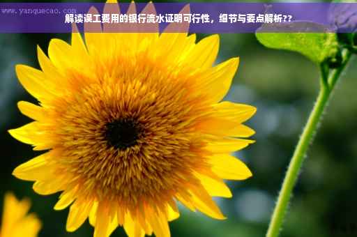 解读误工费用的银行流水证明可行性，细节与要点解析??