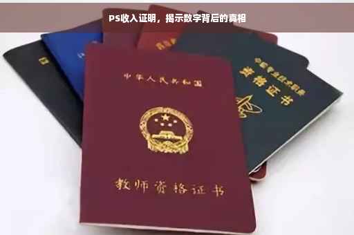 PS收入证明，揭示数字背后的真相