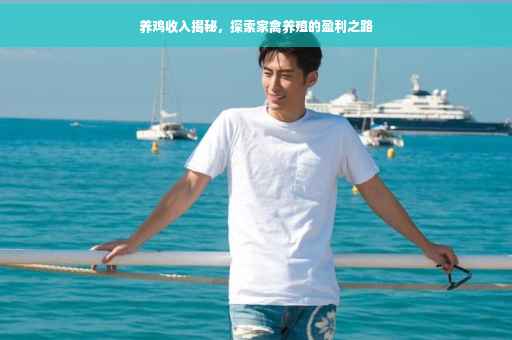养鸡收入揭秘，探索家禽养殖的盈利之路