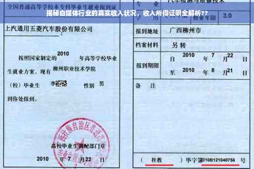 揭秘自媒体行业的真实收入状况，收入所得证明全解析??