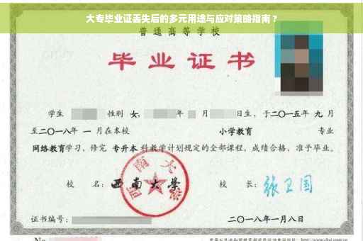 大专毕业证丢失后的多元用途与应对策略指南 ?