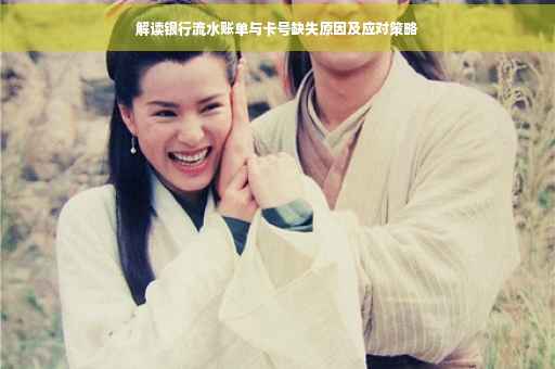 解读银行流水账单与卡号缺失原因及应对策略