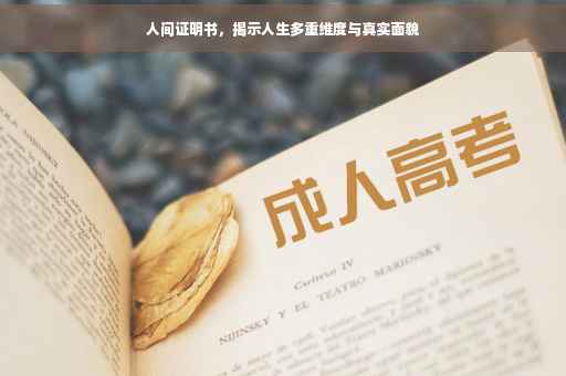 人间证明书，揭示人生多重维度与真实面貌