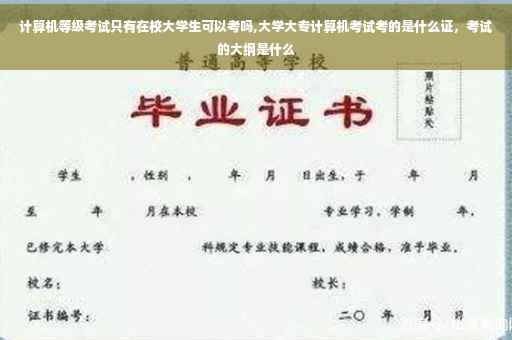 计算机等级考试只有在校大学生可以考吗,大学大专计算机考试考的是什么证，考试的大纲是什么