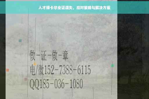 人才绿卡毕业证遗失，应对策略与解决方案