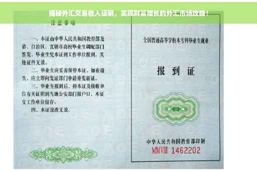 揭秘外汇交易收入证明，实现财富增长的外汇市场攻略！