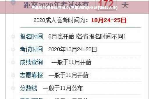 三年级的毕业证书图片(三年级的毕业证书图片大全)