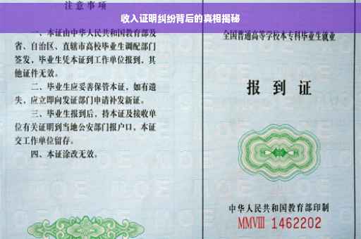 收入证明纠纷背后的真相揭秘