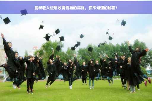 揭秘收入证明收费背后的真相，你不知道的秘密！