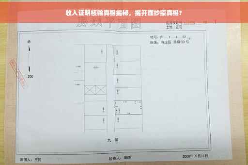 收入证明核验真相揭秘，揭开面纱探真相?