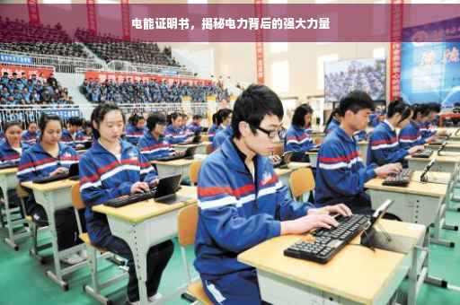 电能证明书，揭秘电力背后的强大力量