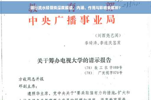 银行流水经营类深度解读，内涵、作用与影响全解析?