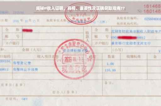 揭秘P收入证明，真相、重要性及正确获取指南??