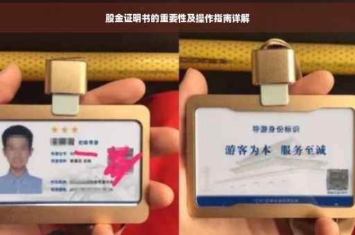 股金证明书的重要性及操作指南详解