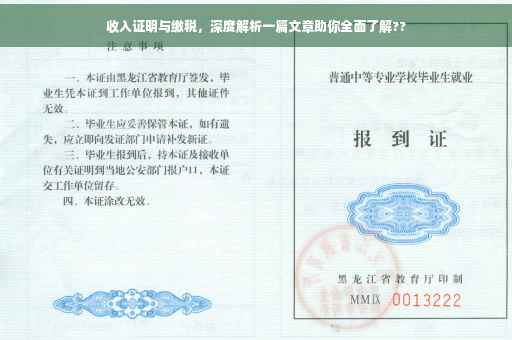 收入证明与缴税，深度解析一篇文章助你全面了解??