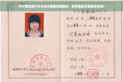 农村商业银行半年流水截图深度解析，洞悉金融运营脉络全貌?